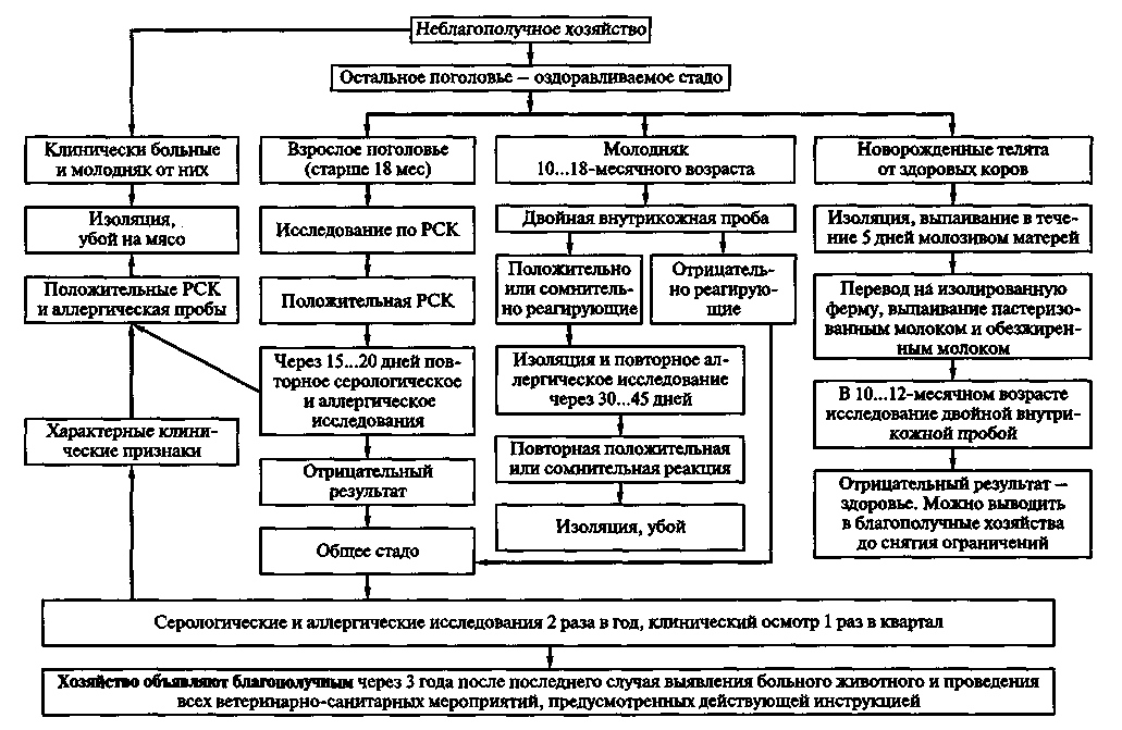 Через исследование. Схема исследования на бруцеллез крупного рогатого скота. План мероприятий по ликвидации больных животных. Меры по ликвидации заразных болезней животных. Схема исследования больного животного.