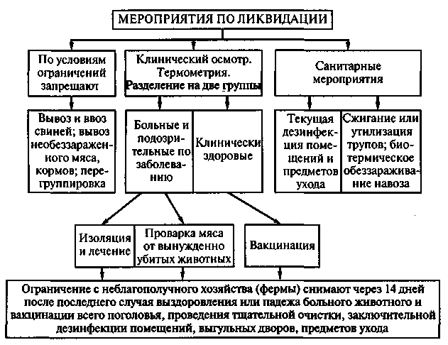 Мероприятия по ликвидации. План мероприятий по ликвидации рожи свиней. План профилактических мероприятий рожи у свиней. План мероприятий по ликвидации инфекционной болезни. План по профилактике рожи свиней.